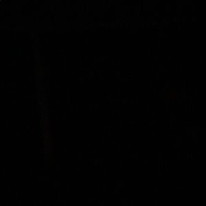 Meet your Posher, Iris